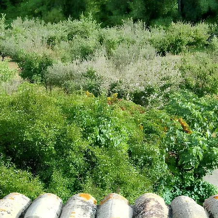 Charmante à Avec Piscine Privée Et Jardin * Dauphin