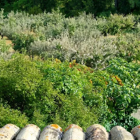 Charmante A Avec Piscine Privee Et Jardin וילה
