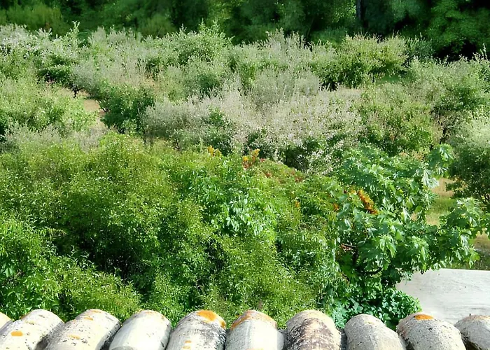 Charmante A Avec Piscine Privee Et Jardin * Dauphin